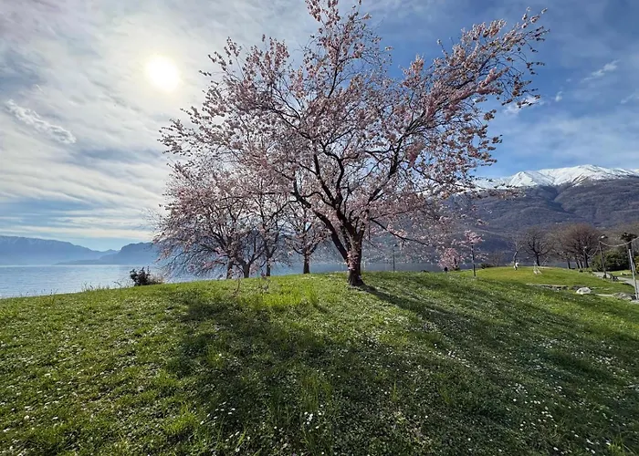 Tatil Evi Casa Quanzito -casa Intera Con Giardino E Parcheggio Privato, Ideale Per Famiglie